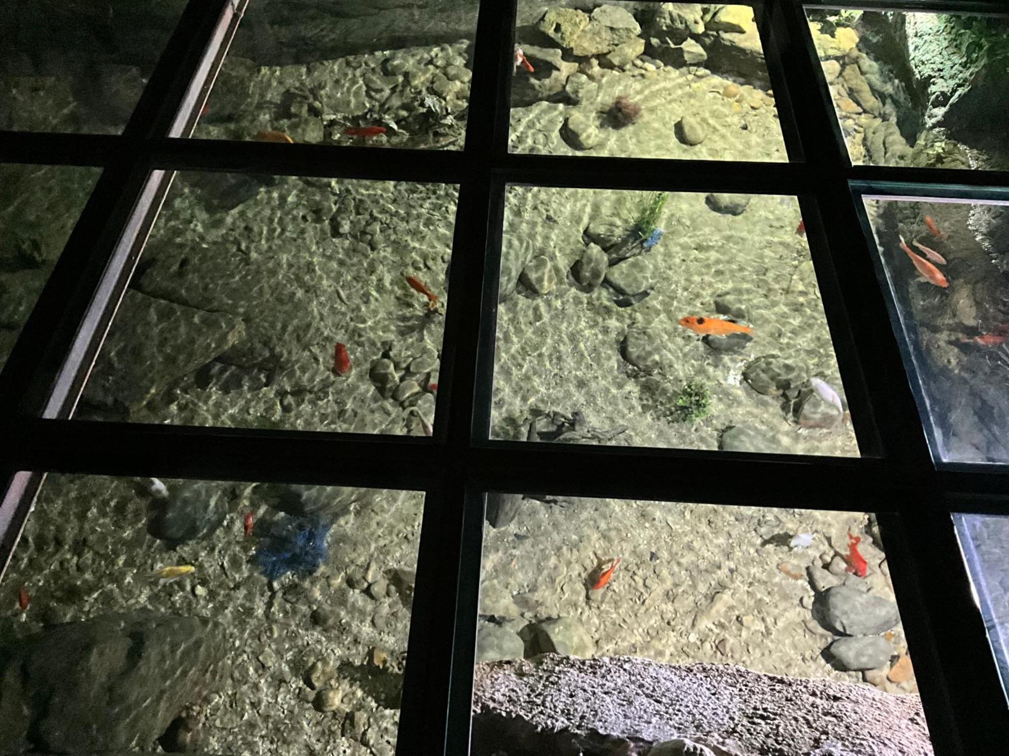 Le Moulin De Mayence Plazac Zewnętrze zdjęcie